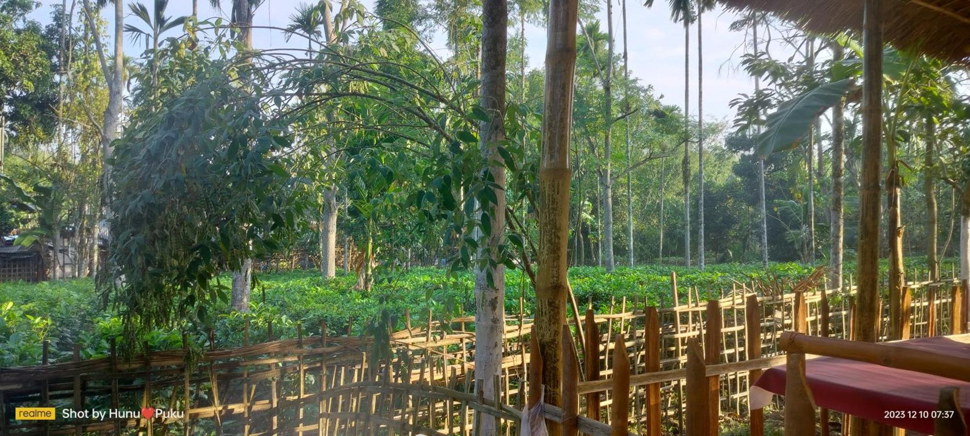 Tranquil Bambusic Bliss Villa Kaziranga Exterior photo